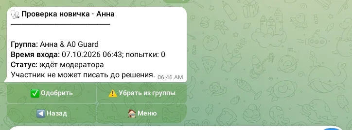 Ручная проверка новичка