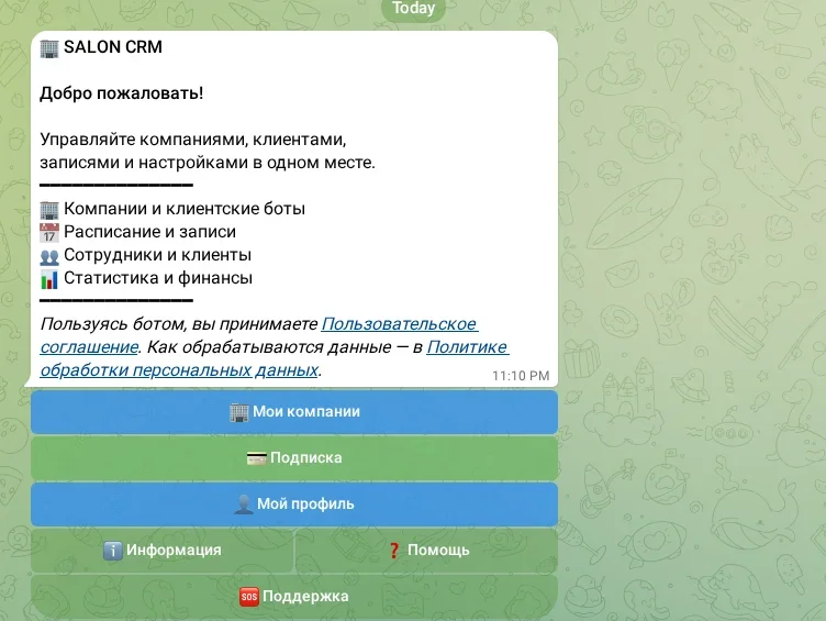 Главное меню SALON CRM
