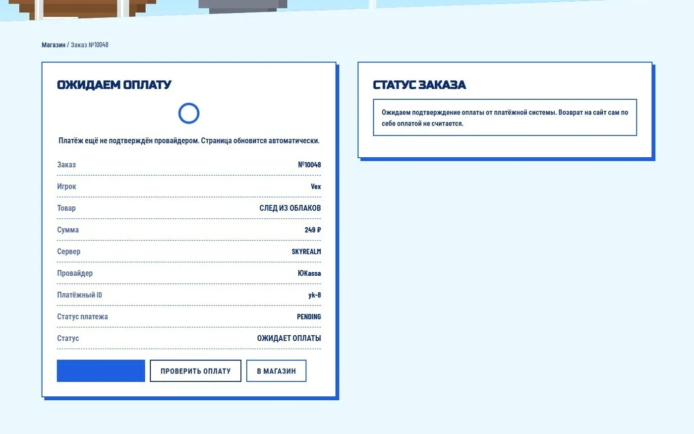 Заказ в ожидании оплаты