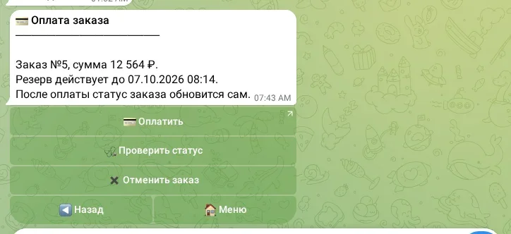 Оплата и проверка статуса