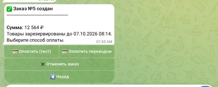 Созданный заказ и способы оплаты