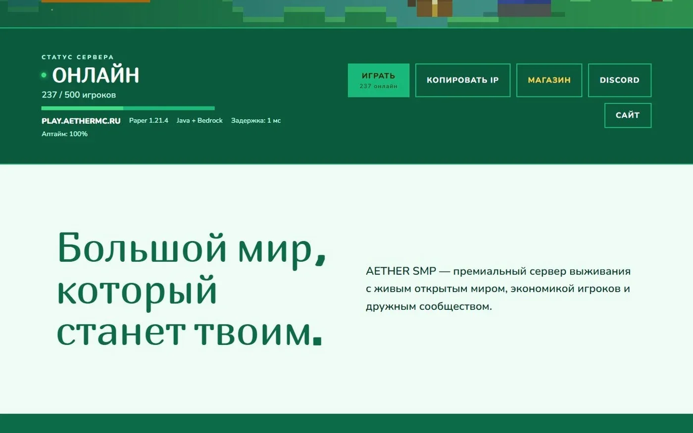 Статус сервера и описание проекта