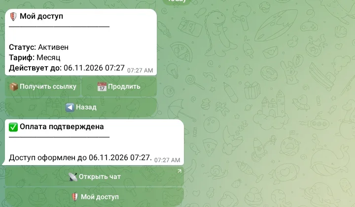 Подтверждение оплаты и доступ